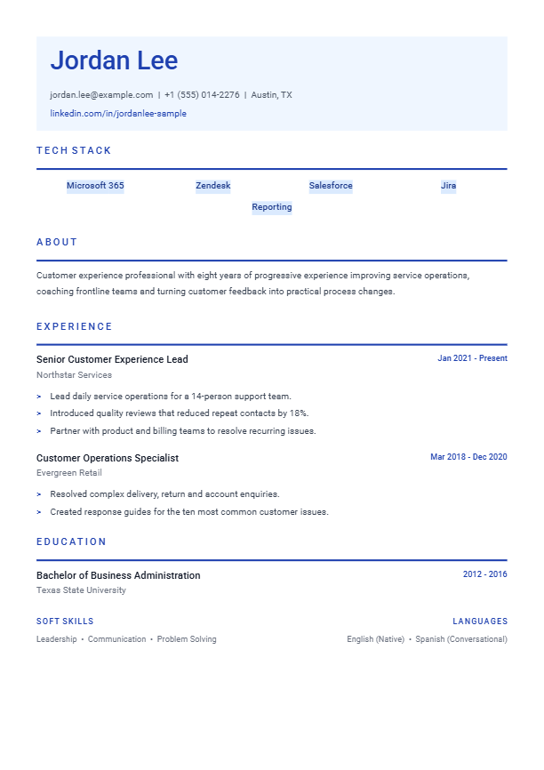 Tech Professional resume template preview